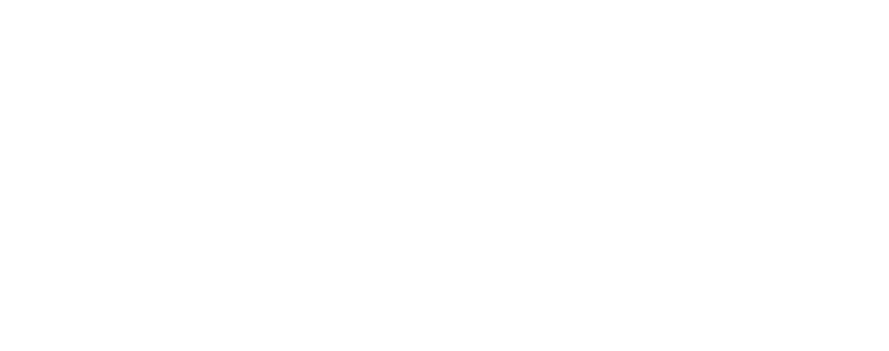 一网天行
